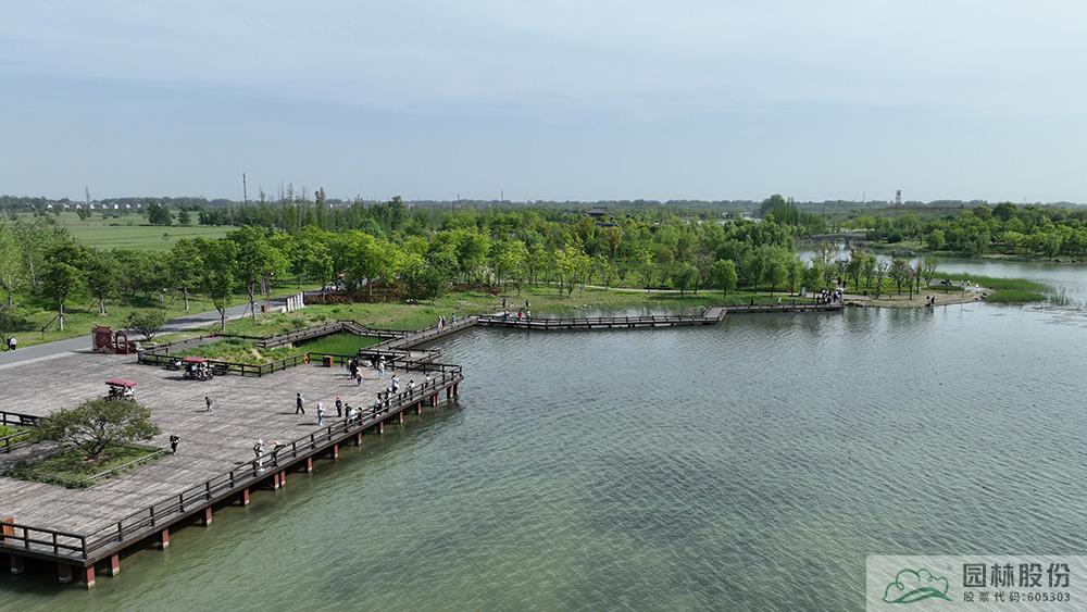 亚洲精品白浆高清久久久久久