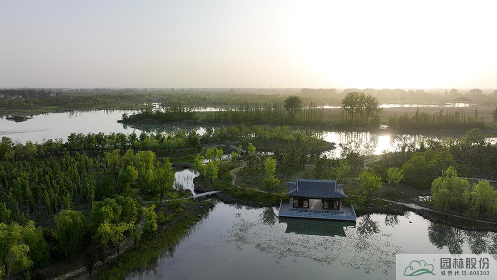 亚洲精品白浆高清久久久久久