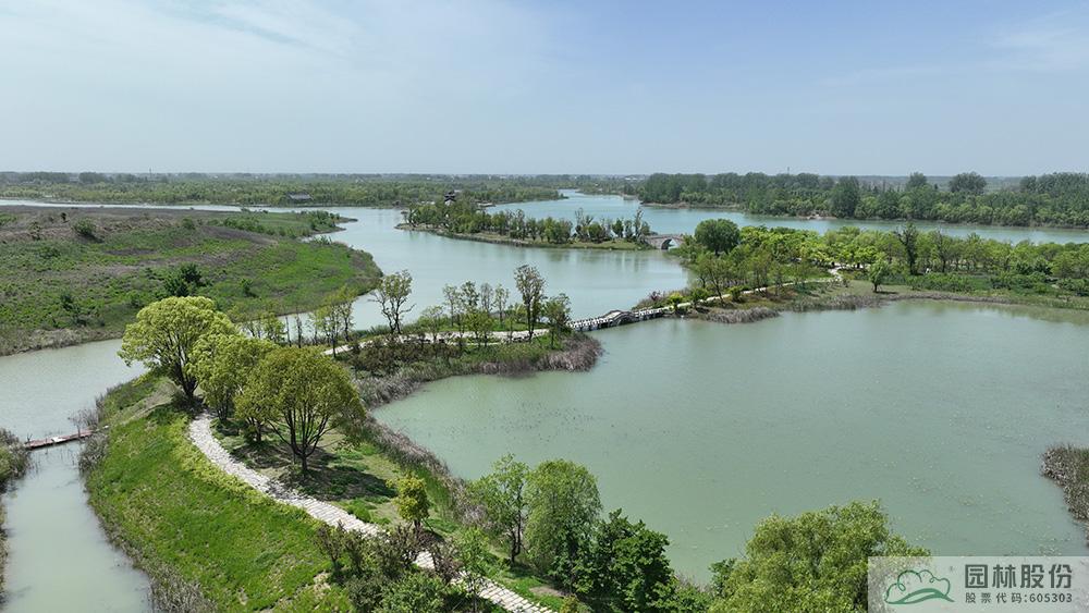 亚洲精品白浆高清久久久久久