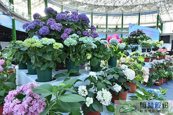 亚洲精品白浆高清久久久久久