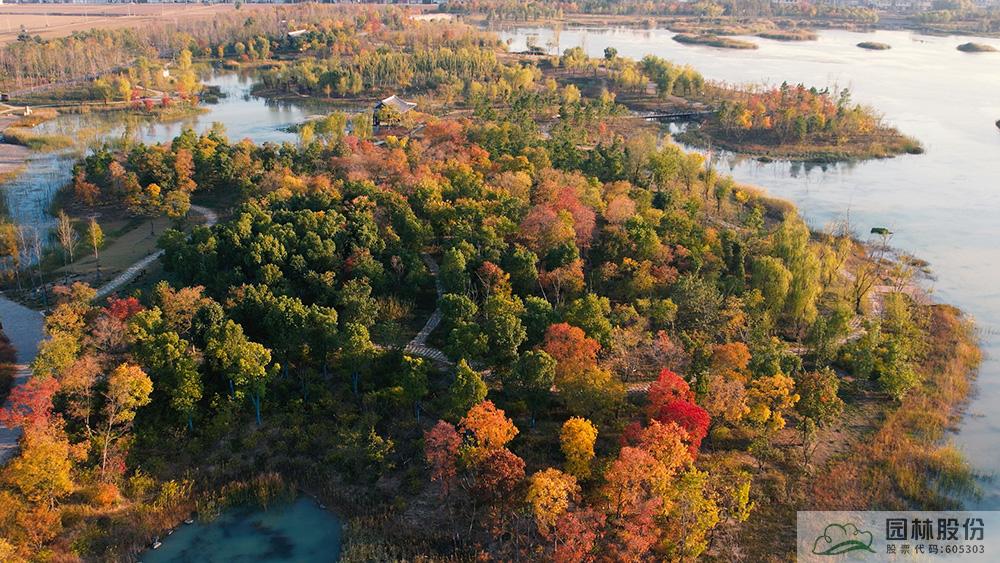 亚洲精品白浆高清久久久久久