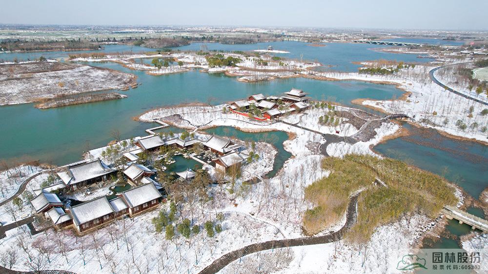 亚洲精品白浆高清久久久久久