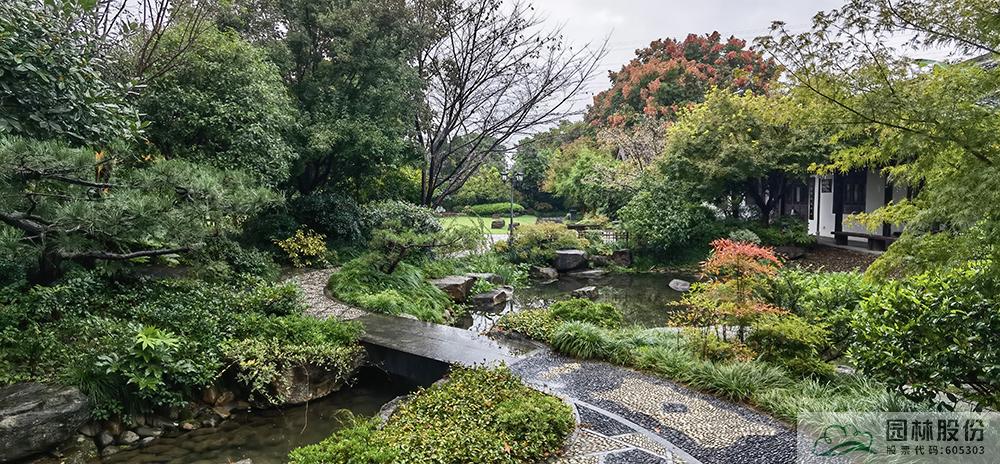 亚洲精品白浆高清久久久久久