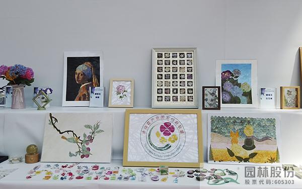 亚洲精品白浆高清久久久久久