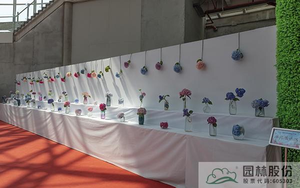 亚洲精品白浆高清久久久久久