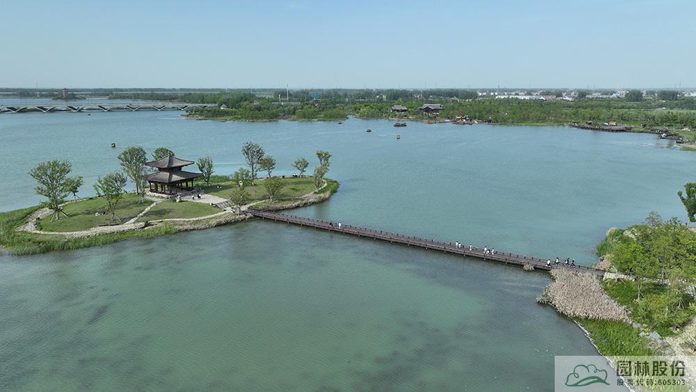 亚洲精品白浆高清久久久久久