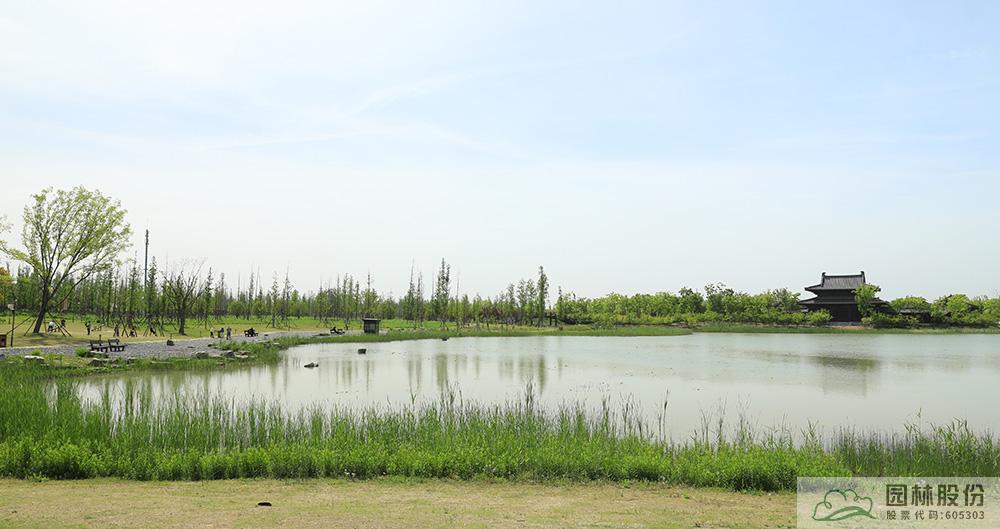 亚洲精品白浆高清久久久久久