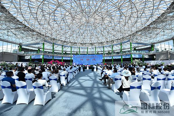 亚洲精品白浆高清久久久久久