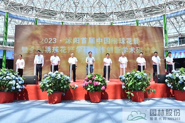 亚洲精品白浆高清久久久久久