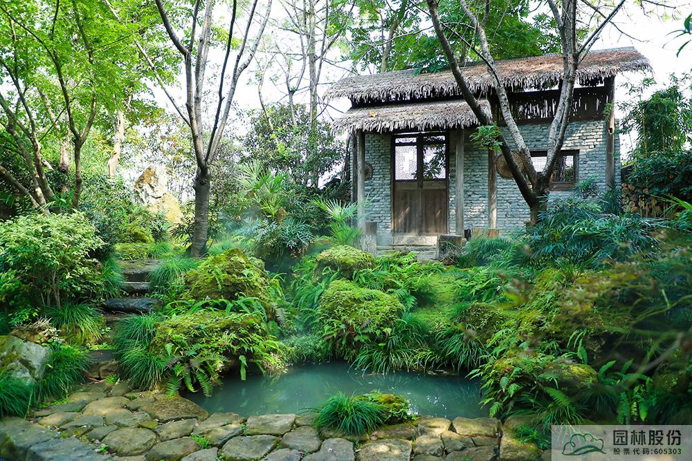 亚洲精品白浆高清久久久久久