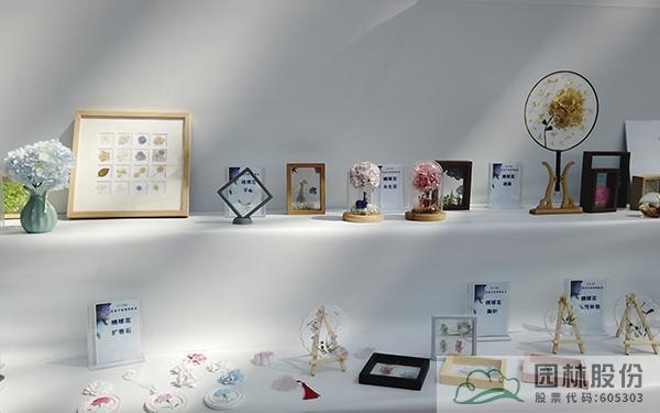 亚洲精品白浆高清久久久久久