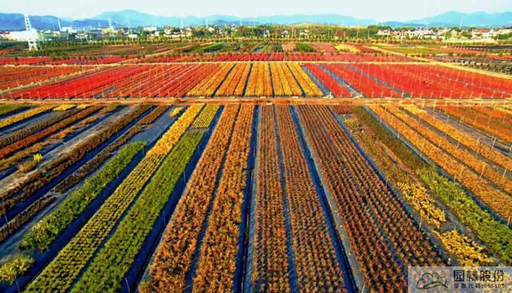 亚洲精品白浆高清久久久久久