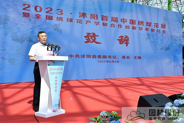 亚洲精品白浆高清久久久久久