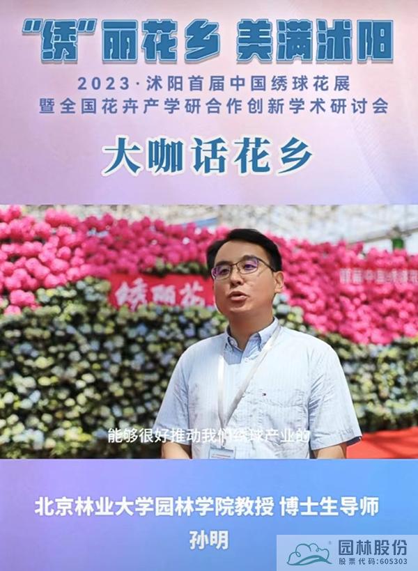 亚洲精品白浆高清久久久久久