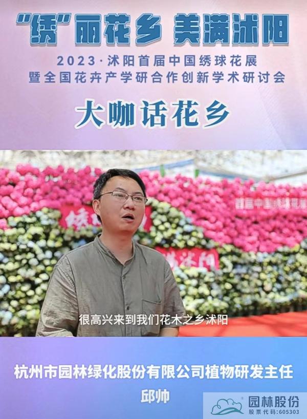 亚洲精品白浆高清久久久久久