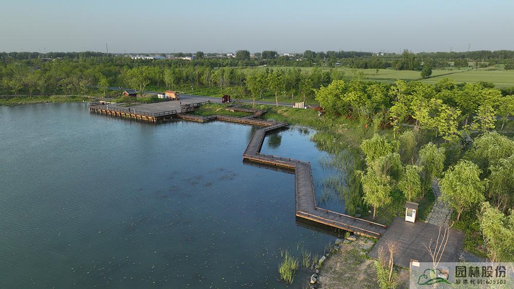 亚洲精品白浆高清久久久久久