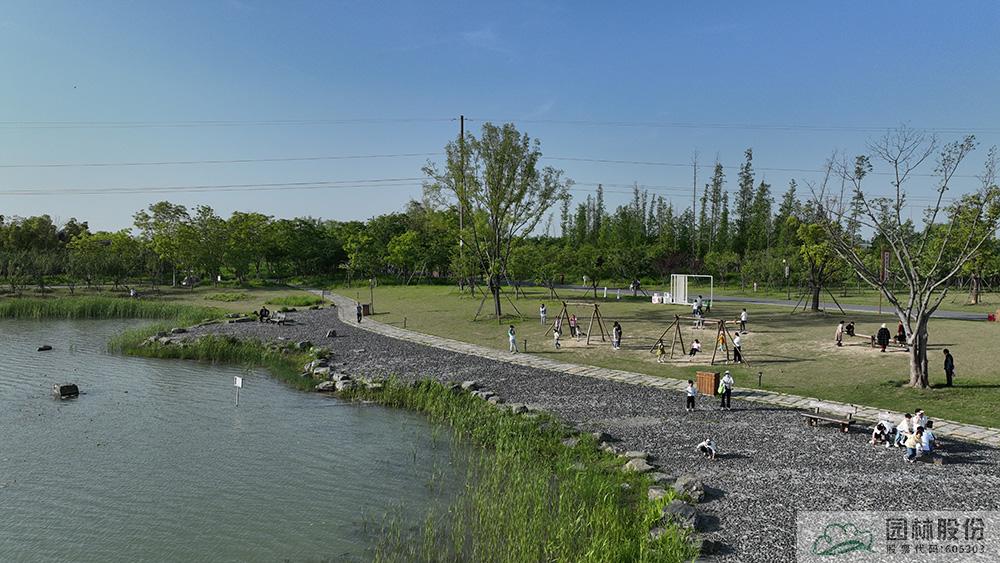 亚洲精品白浆高清久久久久久