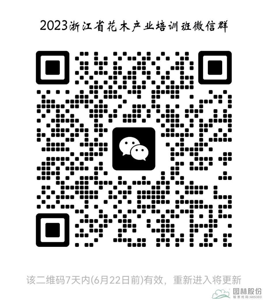 亚洲精品白浆高清久久久久久