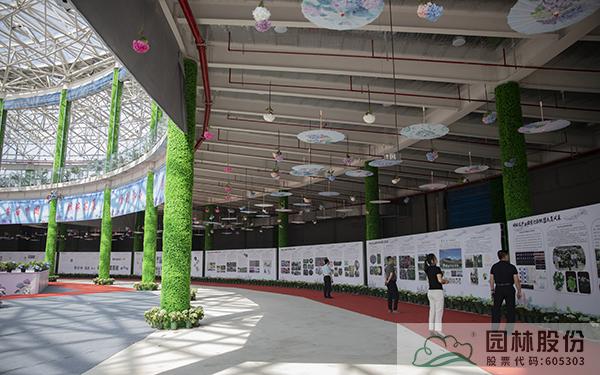 亚洲精品白浆高清久久久久久