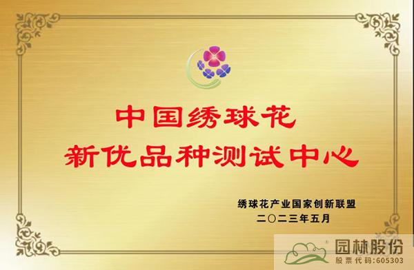 亚洲精品白浆高清久久久久久