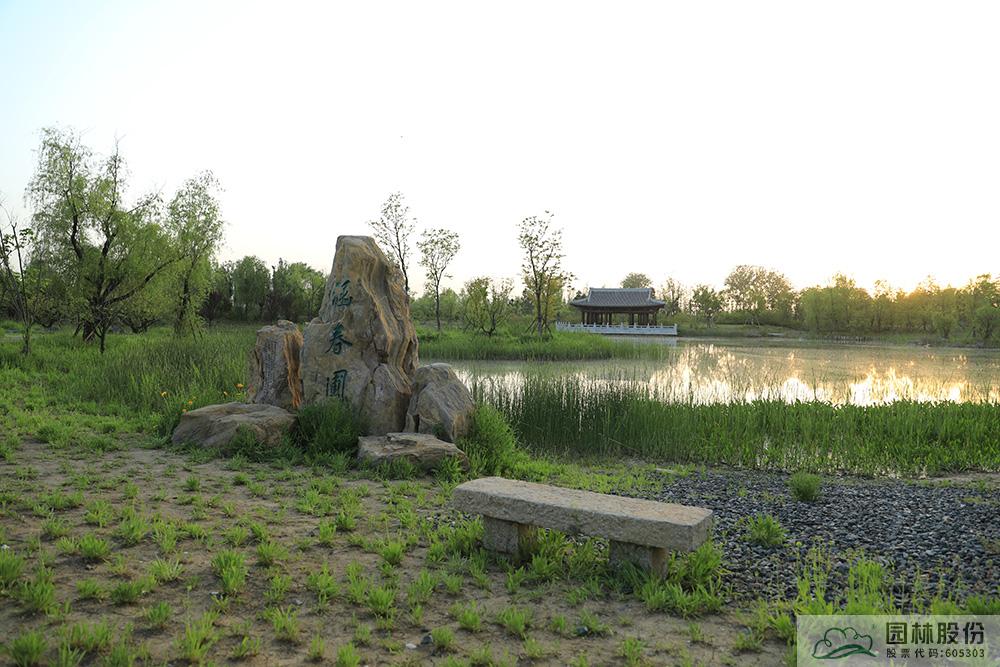 亚洲精品白浆高清久久久久久