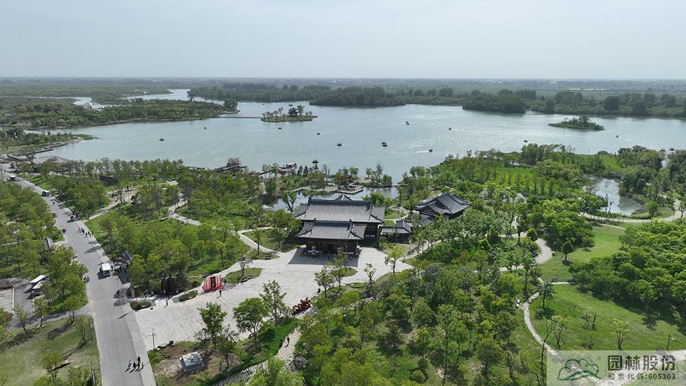 亚洲精品白浆高清久久久久久