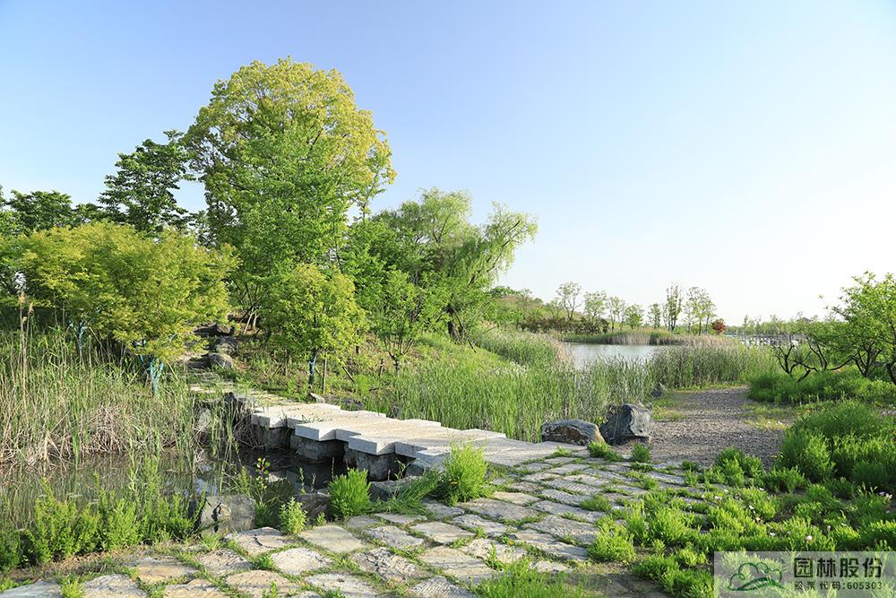 亚洲精品白浆高清久久久久久