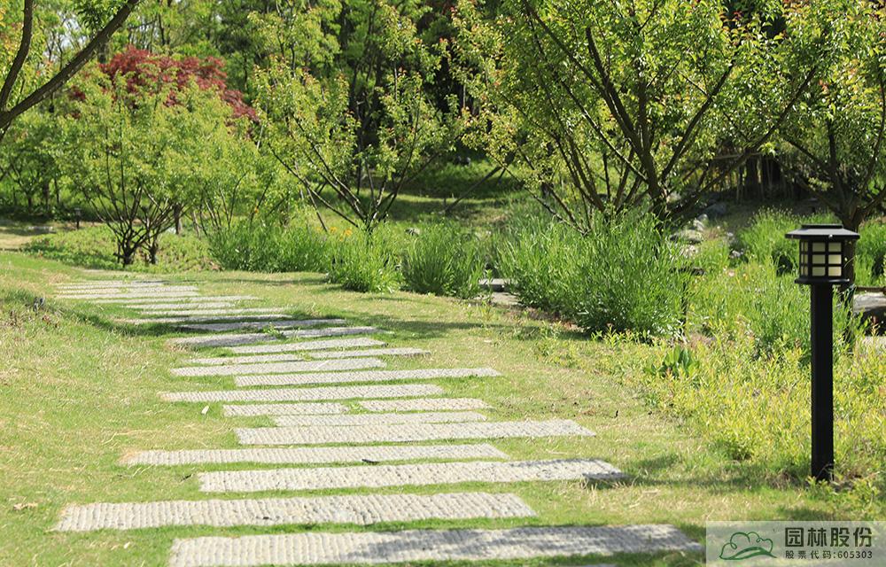 亚洲精品白浆高清久久久久久