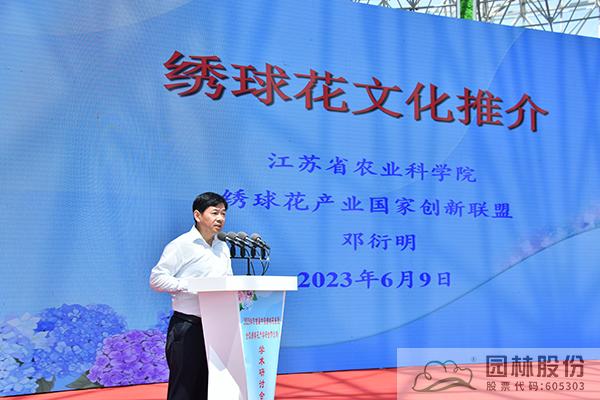 亚洲精品白浆高清久久久久久