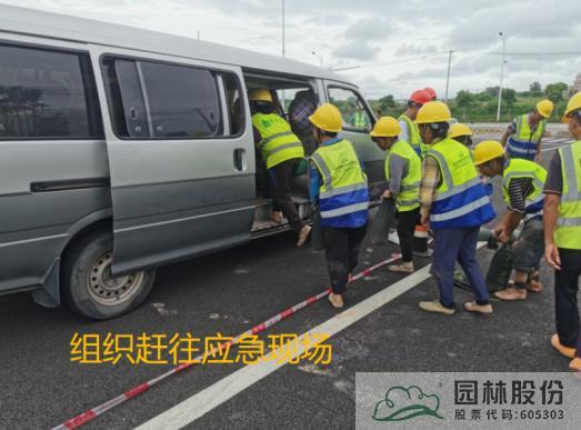 亚洲精品白浆高清久久久久久