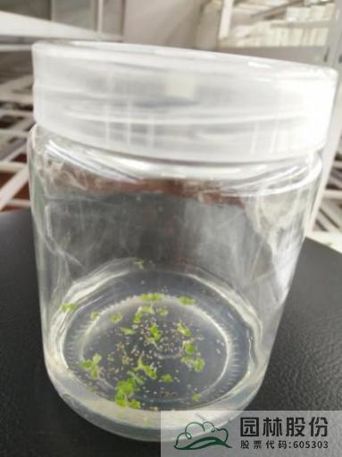 亚洲精品白浆高清久久久久久