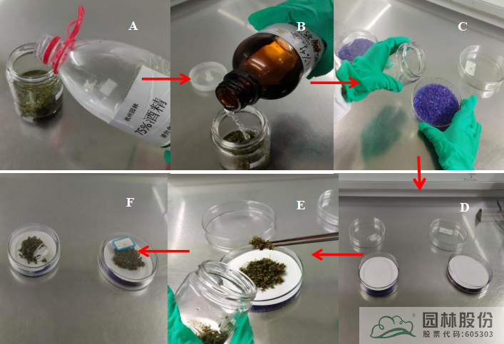 亚洲精品白浆高清久久久久久