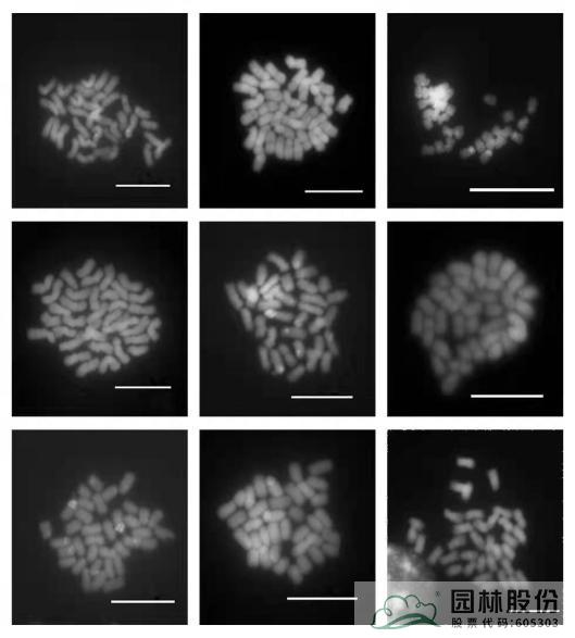 亚洲精品白浆高清久久久久久