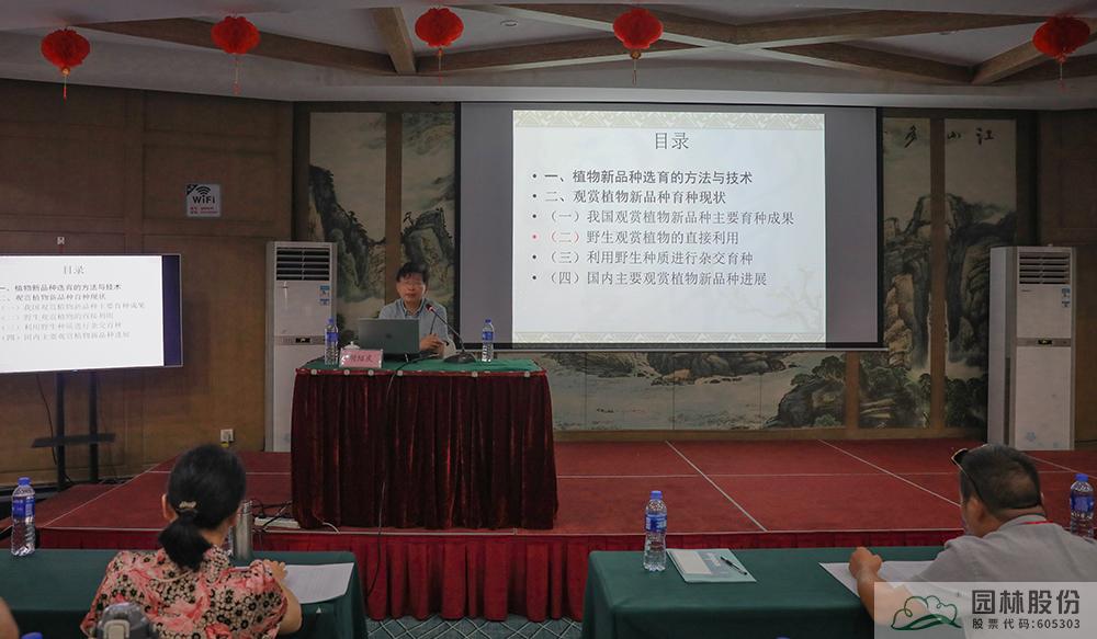 亚洲精品白浆高清久久久久久