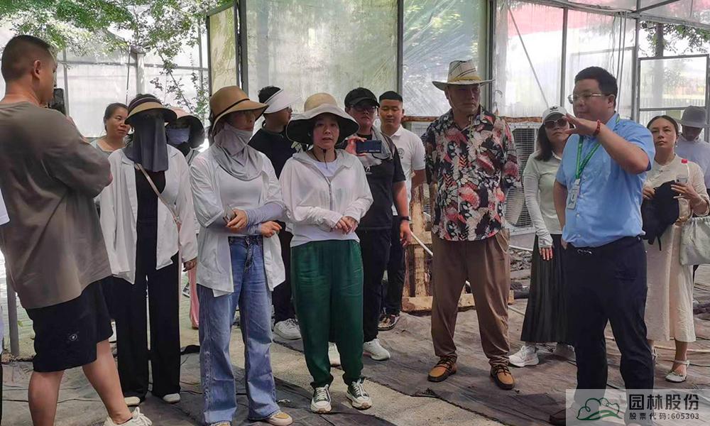 亚洲精品白浆高清久久久久久