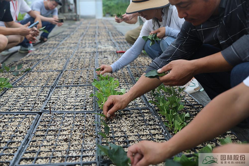 亚洲精品白浆高清久久久久久