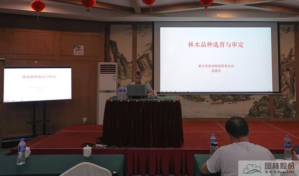 亚洲精品白浆高清久久久久久