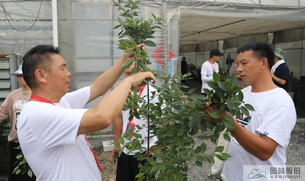 亚洲精品白浆高清久久久久久