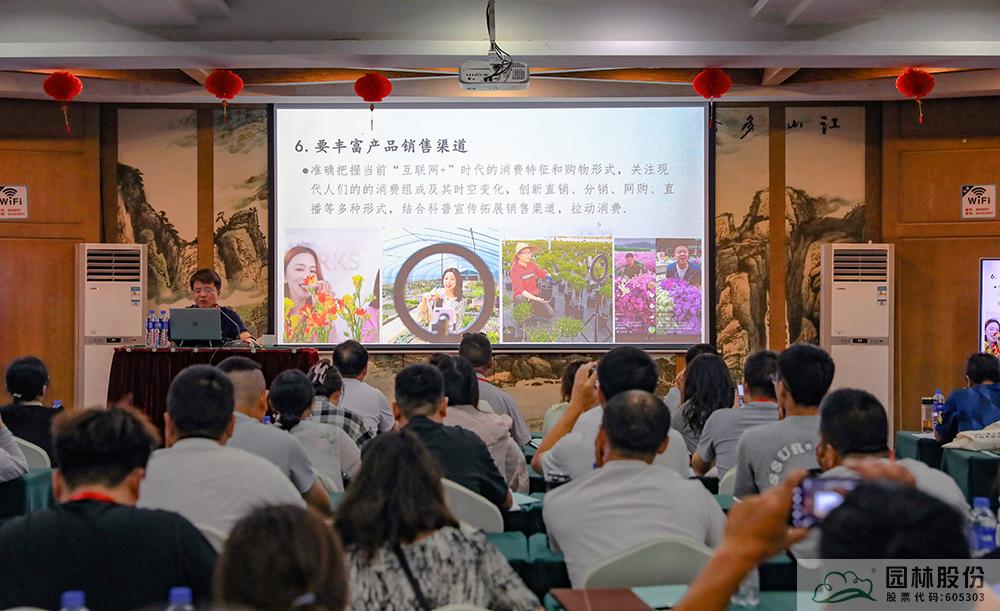 亚洲精品白浆高清久久久久久