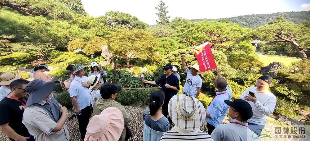 亚洲精品白浆高清久久久久久