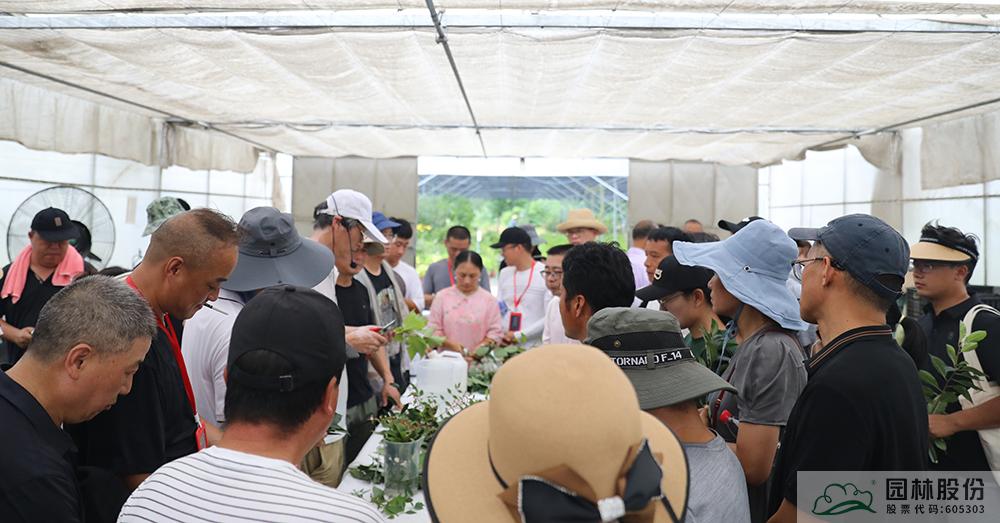 亚洲精品白浆高清久久久久久