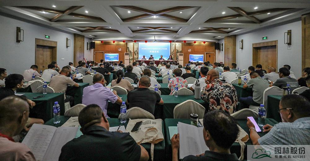 亚洲精品白浆高清久久久久久