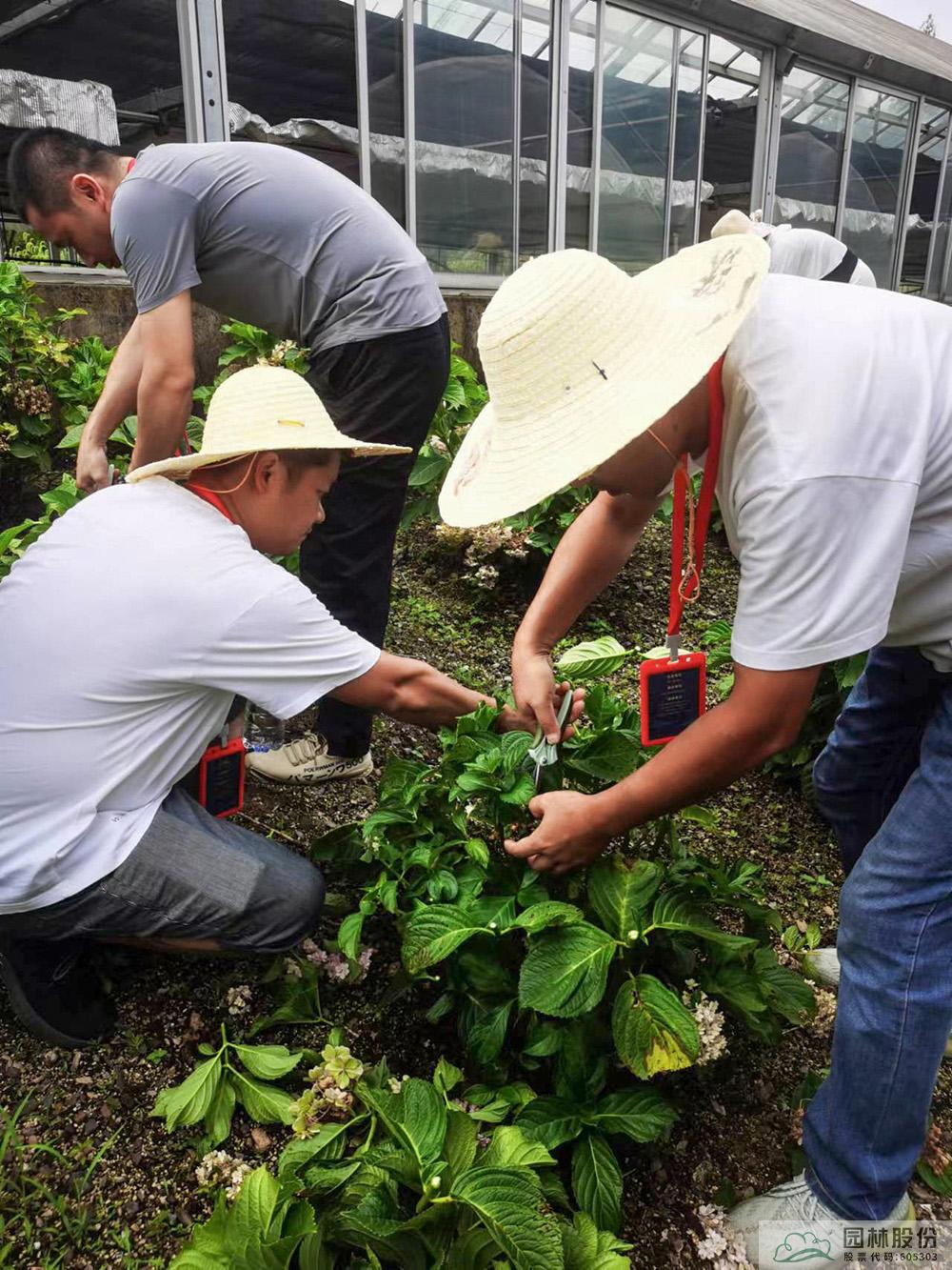 亚洲精品白浆高清久久久久久