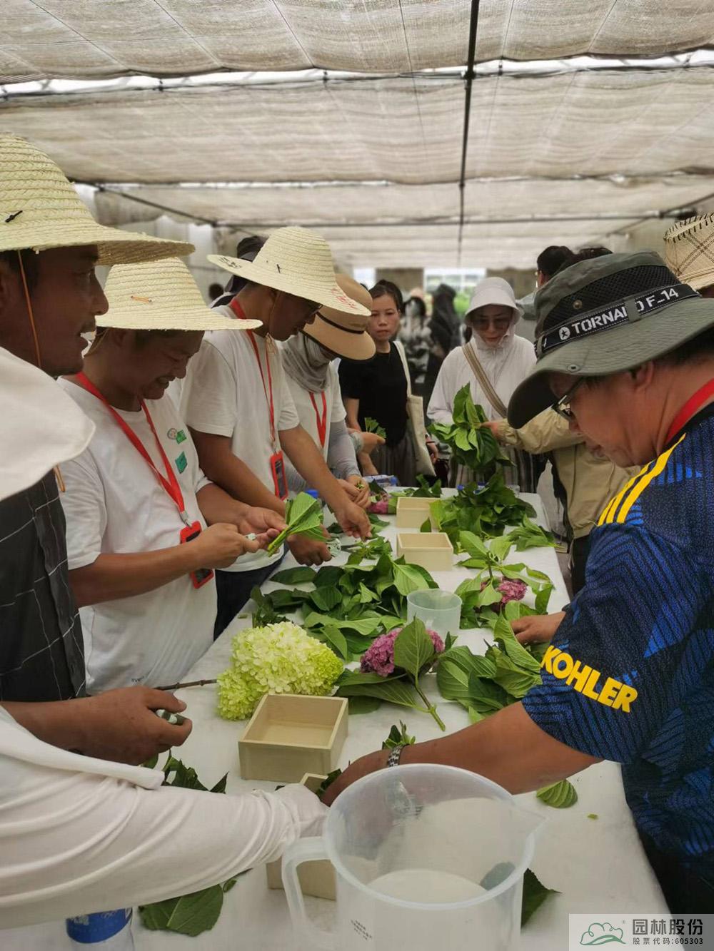 亚洲精品白浆高清久久久久久