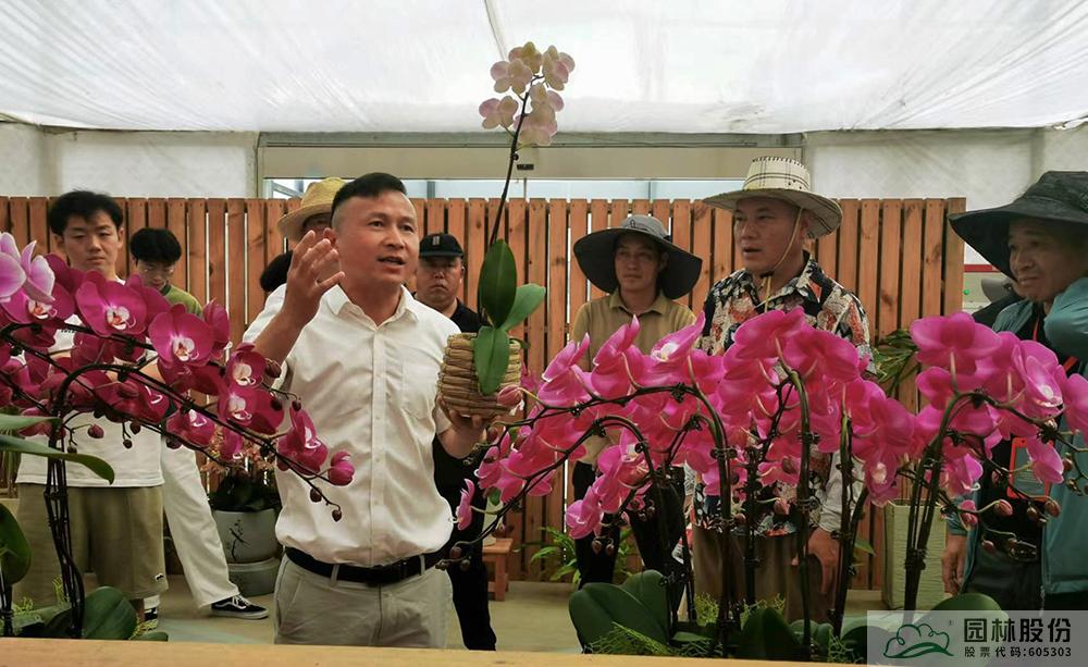 亚洲精品白浆高清久久久久久