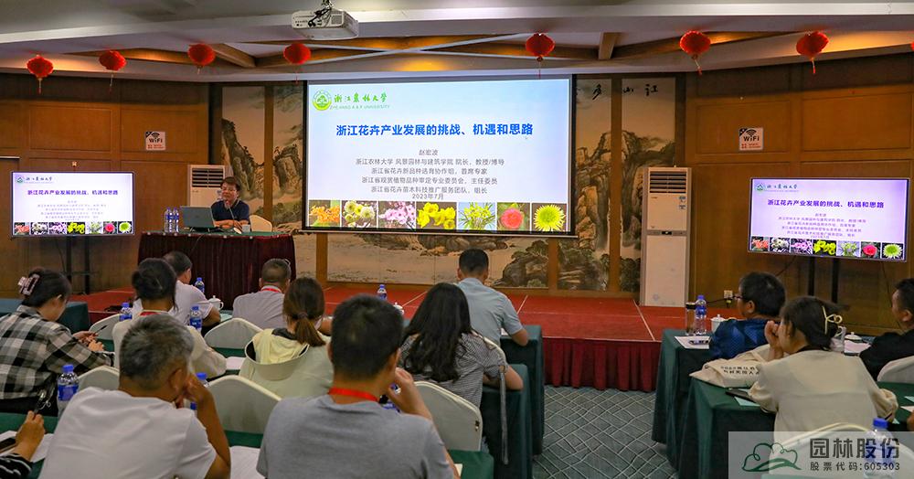 亚洲精品白浆高清久久久久久