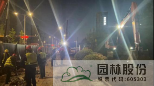 亚洲精品白浆高清久久久久久