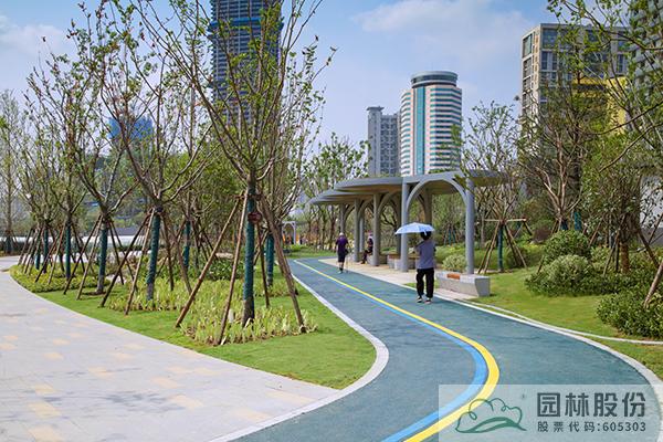 亚洲精品白浆高清久久久久久