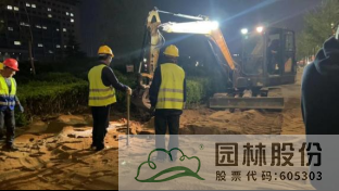 亚洲精品白浆高清久久久久久