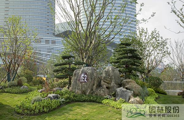 亚洲精品白浆高清久久久久久